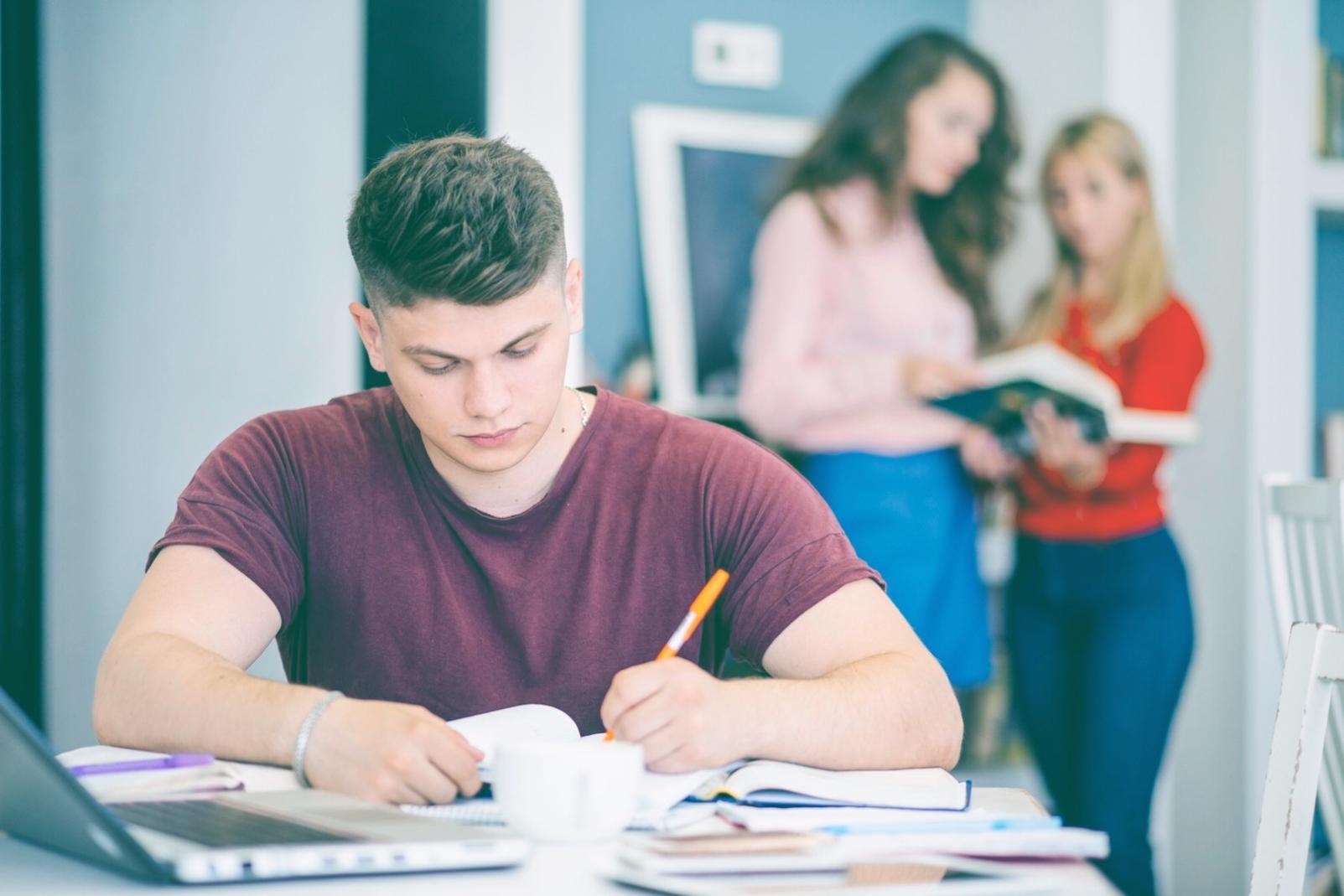 Desarrollo de estrategias